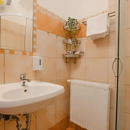 Klara 公寓 卢布尔雅那